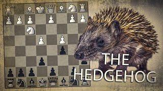 Introduction to the Hedgehog