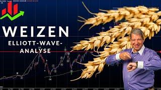 MEGA-Chance im Weizen - Elliott-Wave-Analyse von elliottwaver.live