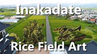 Incredible Rice Field Art in Inakadate Village - Backcountry Aomori 田舎館村田んぼアート