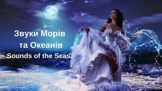 Sounds of the Seas 2023 Звуки Морів та Океанів. Якщо важко заснути