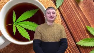 Hemp tea: useful properties -- Конопляный чай: полезные свойства