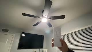 Biukis Ceiling Fans with Lights and Remote