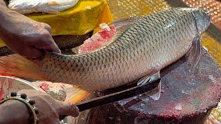 Amazing Fish Cutting Skills | Big Mrigal Fish Cutting By Expert Fish Cutter