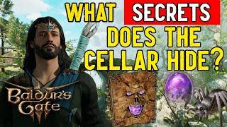 Baldur's Gate 3 - Cellar, Necromancy and Spider Matriarch (Search the Cellar Quest Walkthrough)
