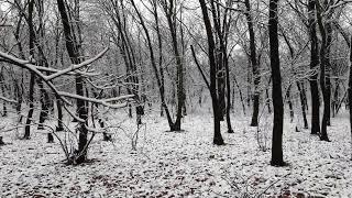 Славянск обзор . Славянск выпал первый снег в городе воздушная тревога