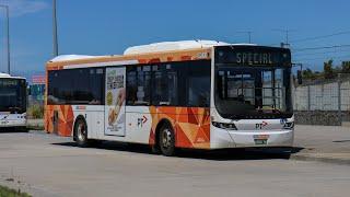 CDC Melbourne Bus W142 Scania K280UB, Volgren "Optimus"