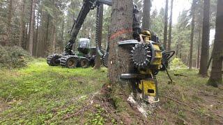 John Deere 1270G & MS 462 auf Käferholz - Jagd [ 1 : # ]