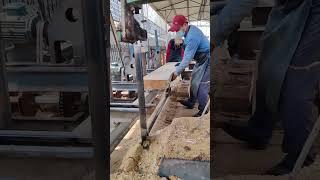 Industrial wood processing factory - solid wood sawing process