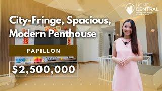 Papillon: Penthouse Home Tour | City-Fringe, Modern Renovated Penthouse