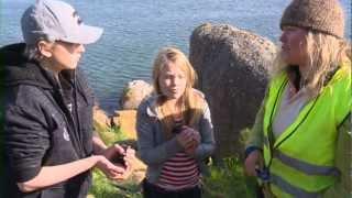 Little Penguins on Granite Island - All About Animals TV Show.mov