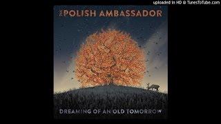 Chill Or Be Chilled ft Nitty Scott - Dreaming of an Old Tomorrow - The Polish Ambassador