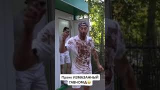 Парень обмазал себя дерьмом. Реакция людейпранк