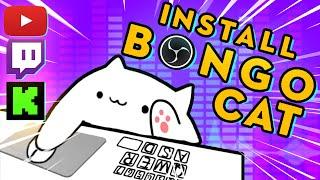How to ACTUALLY Install Animated Bongo Cat OBS Plugin - 2023