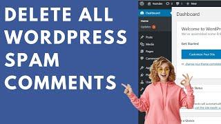 How To Bulk Delete All WordPress Spam Comments Quickly - 2024
