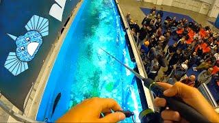 I Fished in an Aquarium! I talked about my YouTube Story at the Largest Italian Fishing Exhibition!