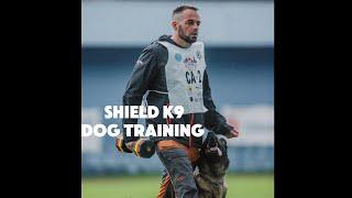 Haz Othman: The Man Behind The "No Nonsense Dog Training" Philosophy