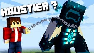 10 Dinge in Minecraft die du nicht kennst | LarsLP