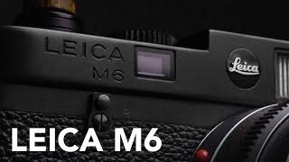 Leica M6 | Review & Sample Photos