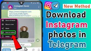 How to Download Instagram photos in Telegram 2024 [ Quick & Easy ]