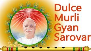 Spanish Murli | 7:00 A.M IST | Gyan Sarovar Mt. Abu 05-11-2024