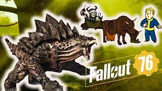 Событие: «Вьючные животные» Fallout 76 Прохождение