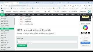 W3Schools HTML Tutorial 05 | Text Formatting