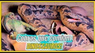 Evolução das serpentes? Dinossauro mais inteligente do mundo? | Zoomundo Responde #12