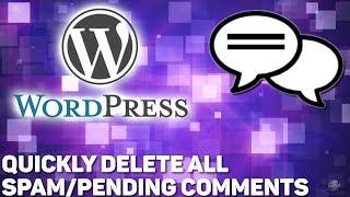 Quickly DELETE All Spam Comments on WordPress (Free Plugin)