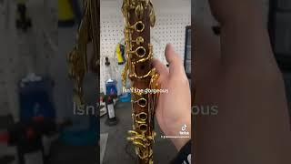 Orion rosewood gold clarinet #orionmusicalinstruments #clarinet #gold #rosewood #woodwind