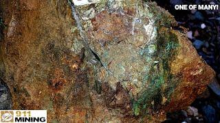 Rich Gold Bearing Boulder Worth Thousands Discarded By An Old Gold Mine!