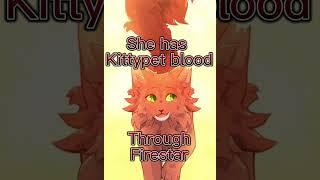 Facts About Squirrelflight #squirrelflight #thirdvideo #warriorcat  #warriorcats