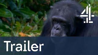 TRAILER: The Secret Life of the Zoo | Catch Up On All 4