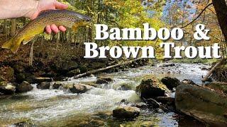 This Stream is Amazing in the Fall !! -  Fly Fishing Central, NY