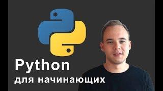 Python для начинающих. Урок 3: Условные операторы if, elif, else.