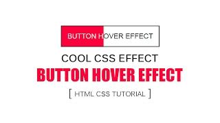 CSS Animated Button - Tutorial - CSS HOVER EFFECT