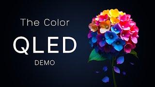 QLED Demo HDR 8K Ultra HD Dolby Vision 60fps - The Color