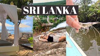 2️⃣  Travel Vlog Sri Lanka | Kingfisher Review | SkinnyTom's Deli | Koggala | Thalpe Унаватуна Пляж