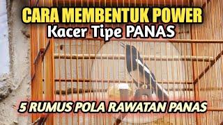 CARA MEMBENTUK POWER KACER TIPE PANAS - RUMUS POLA RAWATAN PANAS