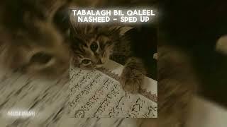 Tabalagh Bil Qaleel Nasheed // Sped Up // ₊˚⊹ ʚɞ