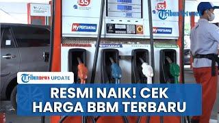 Ini Daftar Harga Baru BBM Non Subsidi Pertamina Mulai 1 November 2024, Naik Kecuali Pertamax