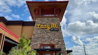 Hidden Gem Restaurant in Kissimmee | Lazy Dog Restaurant Review