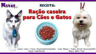 Ração caseira para Cães e Gatos! Saiba como fazer!