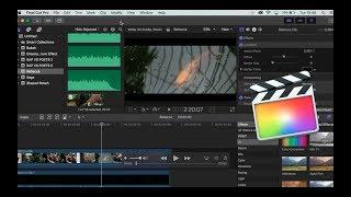 How To Export In Final Cut Pro X (Best Export Settings)