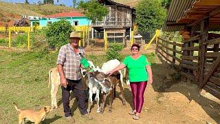 ELES VIVEM NUM SÍTIO ENCANTADOR NO PÉ DA SERRA DA MANTIQUEIRA