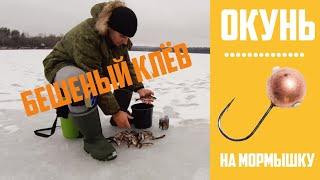 ЛОВЛЯ ОКУНЯ зимой на мормышку. Зимняя рыбалка на окуня со льда