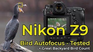 Great Backyard Bird Count with the Nikon Z9 + Bird Autofocus Tested