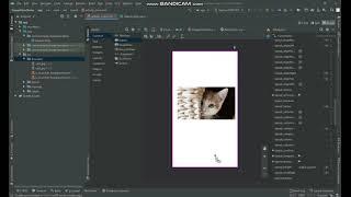 change images dynamically android studio