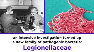 Legionnaires’ Disease: Legionella pneumophila