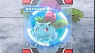 Ivysaur Pokédex Entry - Tag Team Battle Inspiration