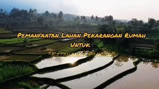 #lombabulanbungkarno#pemanfaatanlahanpekarangan#videoketahananpangan